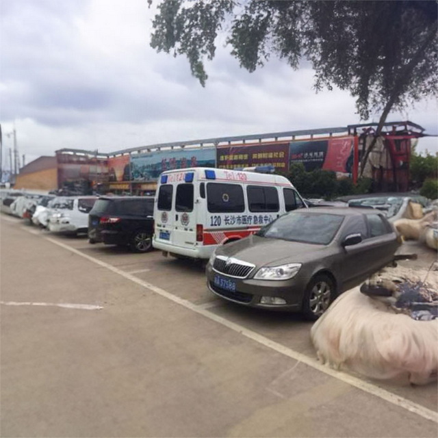 南京私人救护车租车费用